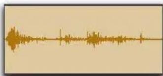 Avid Pro Tools 8.0 - Pour afficher (ou masquer) les contours de la forme d'onde : - 1