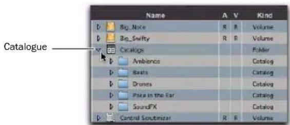 Avid Pro Tools 8.0 - Ouverture d'un navigateur de catalogues - 1