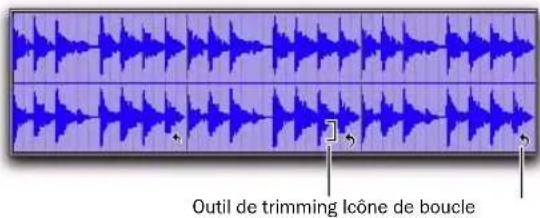 Avid Pro Tools 8.0 - Pour rogner la région source (Itération de boucle) d'une région mise en boucle : - 1