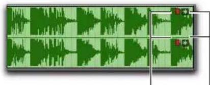 Avid Pro Tools 8.0 - Indicateur d'écrêtage de région (traitement en rendu uniquement) - 1