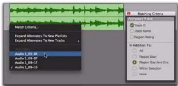 Avid Pro Tools 8.0 - Sous-menu contextuel Matches - 1