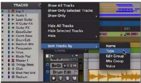 Avid Pro Tools 8.0 - Menu de la liste des pistes - 2
