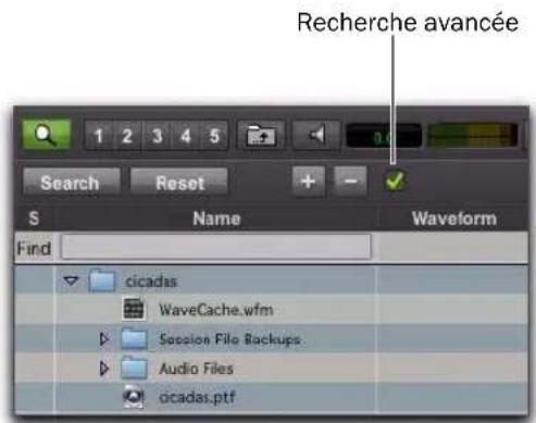 Avid Pro Tools 8.0 - Pour activer le mode de recherche avancée : - 1