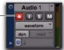 Avid Pro Tools 8.0 - Indication de l'état du mode TrackPunch - 1