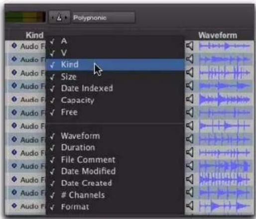 Avid Pro Tools 8.0 - Pour afficher ou masquer une colonne : - 1