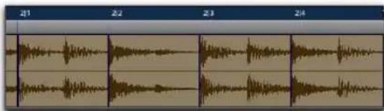 Avid Pro Tools 8.0 - Pour créer des marqueurs Bar|Beat avec Beat Detective : - 2