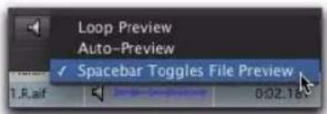 Avid Pro Tools 8.0 - Bouton Preview - 1