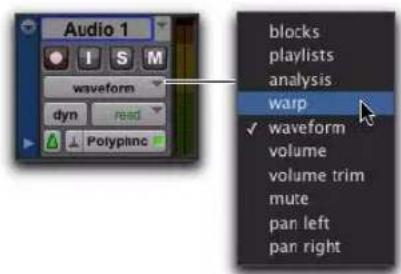 Avid Pro Tools 8.0 - Vues des pistes Elastic Audio - 1