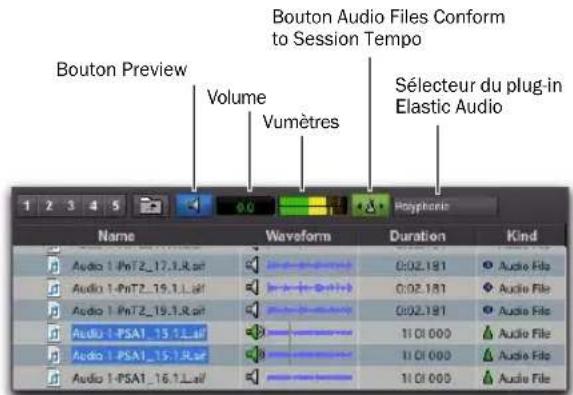 Avid Pro Tools 8.0 - Commandes et indicateurs d'aperçu - 1
