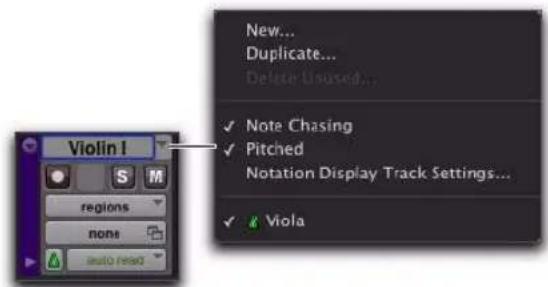 Avid Pro Tools 8.0 - Pour activer (ou désactiver) l'option Pltched d'une piste : - 1