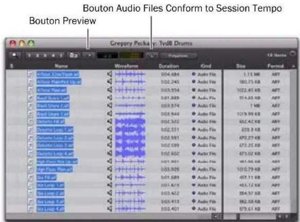 Avid Pro Tools 8.0 - Pour localiser et prévisualiser une boucle au tempo de la session dans DigiBase : - 2