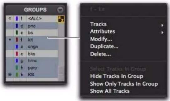 Avid Pro Tools 8.0 - Menus contextuels pour le nom de groupe et l'indicateur d'ID de groupe d'une piste - 1