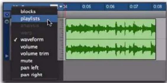 Avid Pro Tools 8.0 - Pour afficher les lignes de playlist d'une piste : - 1