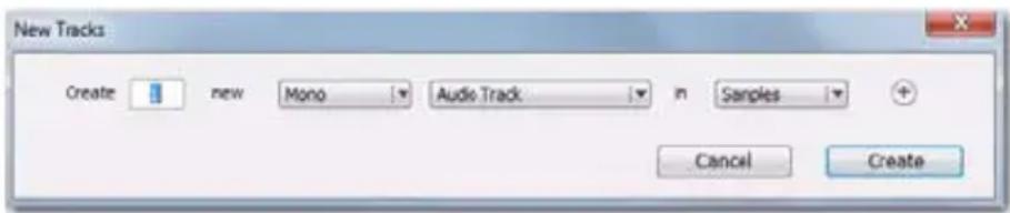 Avid Pro Tools 10.0 - Pour creer une piste audio et la preparer a l'enregistrement : - 1