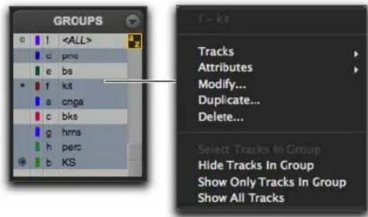 Avid Pro Tools 11.0 - Menus des ID de groupe de pistes et noms de groupes - 1