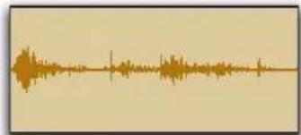 Avid Pro Tools 11.0 - Pour afficher (ou masquer) les contours des formes d'onde : - 1