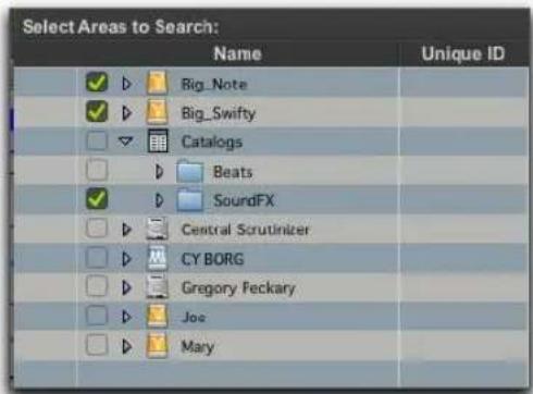 Select Areas to Search: Name Unique ID ✓ ▷ □ Big_Note ✓ ▷ □ Big_Swifty □ ▼ □ Catalogs □ ▷ □ Beats ✓ □ SoundFX □ ▷ Central Scrutinizer □ ▷ CY BORG □ ▷ Gregory Feckary □ ▷ Joe □ ▷ Mary