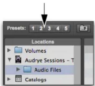 Avid Pro Tools 11.0 - Pour sauvegarder un preset d'affichage : - 1