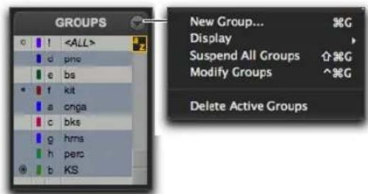 Avid Pro Tools 11.0 - Menu de la liste des groupes - 1
