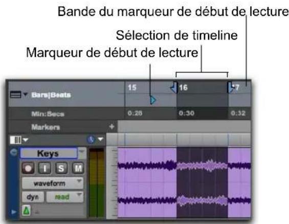 Bande du marqueur de début de lecture Sélection de timeline Marqueur de début de lecture