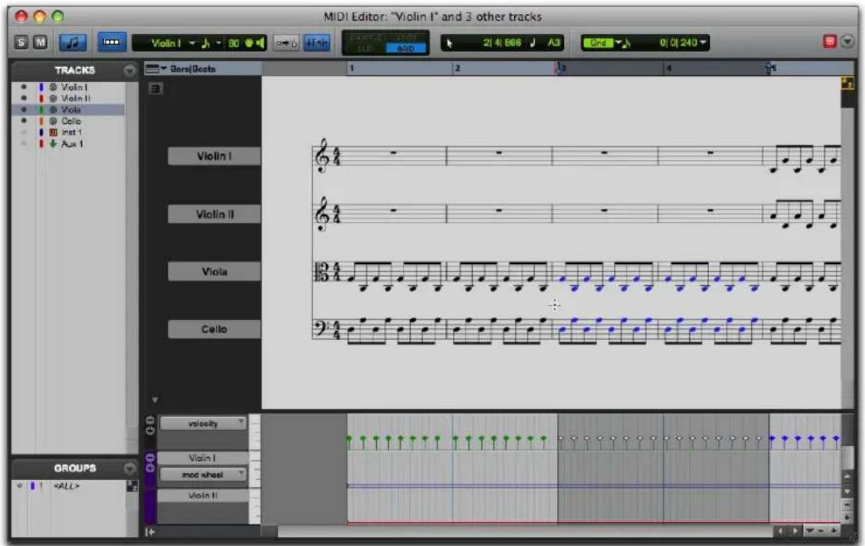 Avid Pro Tools 11.0 - Vue Notation - 1