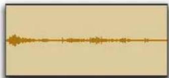 Avid Pro Tools 11.0 - Pour afficher (ou masquer) les contours des formes d'onde : - 2