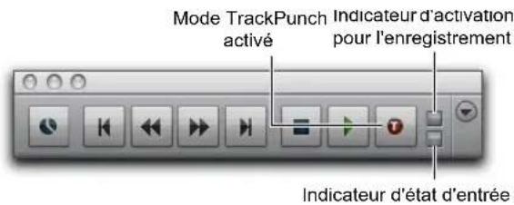 Mode TrackPunch activé Indicateur d'activation pour l'enregistrement Indicateur d'état d'entrée