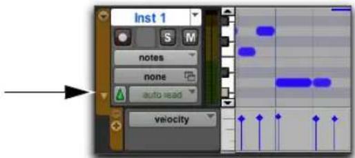 Avid Pro Tools 11.0 - Pour éditer les vélocités MIDI dans la fenêtre Edit : - 1