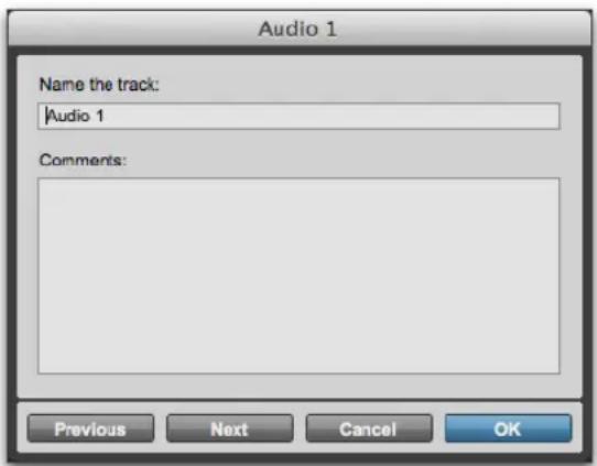 Avid Pro Tools 11.0 - Attribution de noms aux pistes - 1