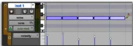 Avid Pro Tools 11.0 - Par exemple, pour insérer une série de notes avec des vélocités aléatoires dans la fenêtre Edit : - 1