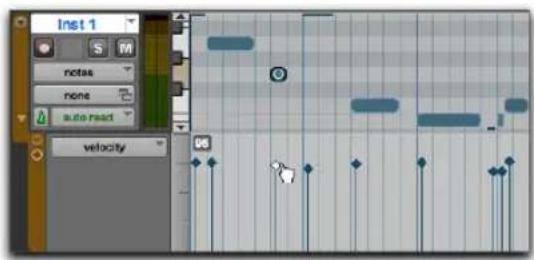 Avid Pro Tools 11.0 - Pour éditer les vélocités MIDI dans la fenêtre Edit : - 2