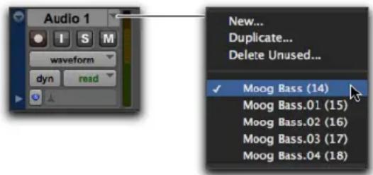 Audio 1 New... Duplicate... Delete Unused... waveform dyn read ✓ Moog Bass (14) Moog Bass.01 (15) Moog Bass.02 (16) Moog Bass.03 (17) Moog Bass.04 (18)