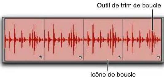 Outil de trim de boucle Icône de boucle