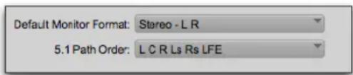 Default Monitor Format: Stereo - L R 5.1 Path Order: L C R Ls Rs LFE