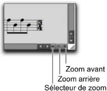 Zoom avant Zoom arrière Sélecteur de zoom