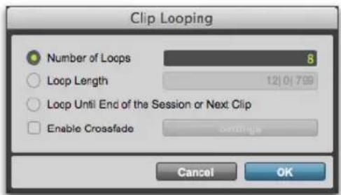 Avid Pro Tools 11.0 - Pour mettre en boucle un clip : - 2
