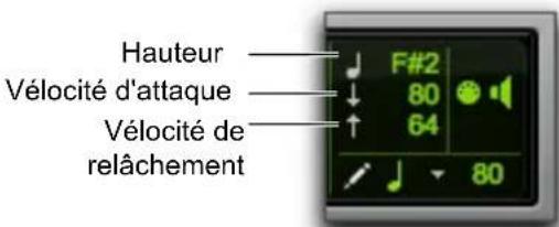 Hauteur Vélocité d'attaque Vélocité de relâchement F#2 80 64 80