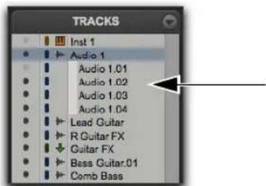 Avid Pro Tools 11.0 - Playlists alternatives dans la liste des pistes - 1