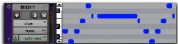 MIDI 1 S M clips none auto read