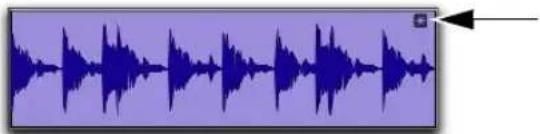 Avid Pro Tools 11.0 - Clips déformés - 1