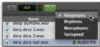 Name deep dumbek.wav dery dery 1.wav dery dery 2.wav dery dery kali.wav ✓ Polyphonic Rhythmic Monophonic Varispeed Audio File