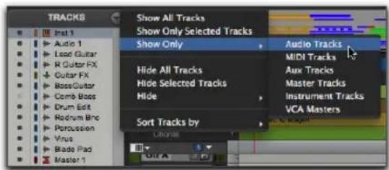Avid Pro Tools 11.0 - Menu de la liste des pistes - 1