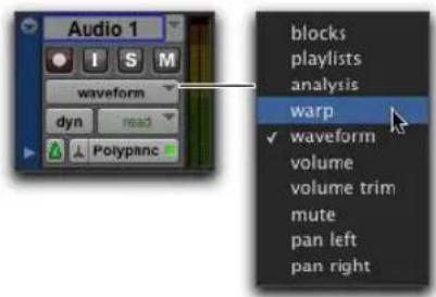 Avid Pro Tools 11.0 - Vues de piste Elastic Audio - 1