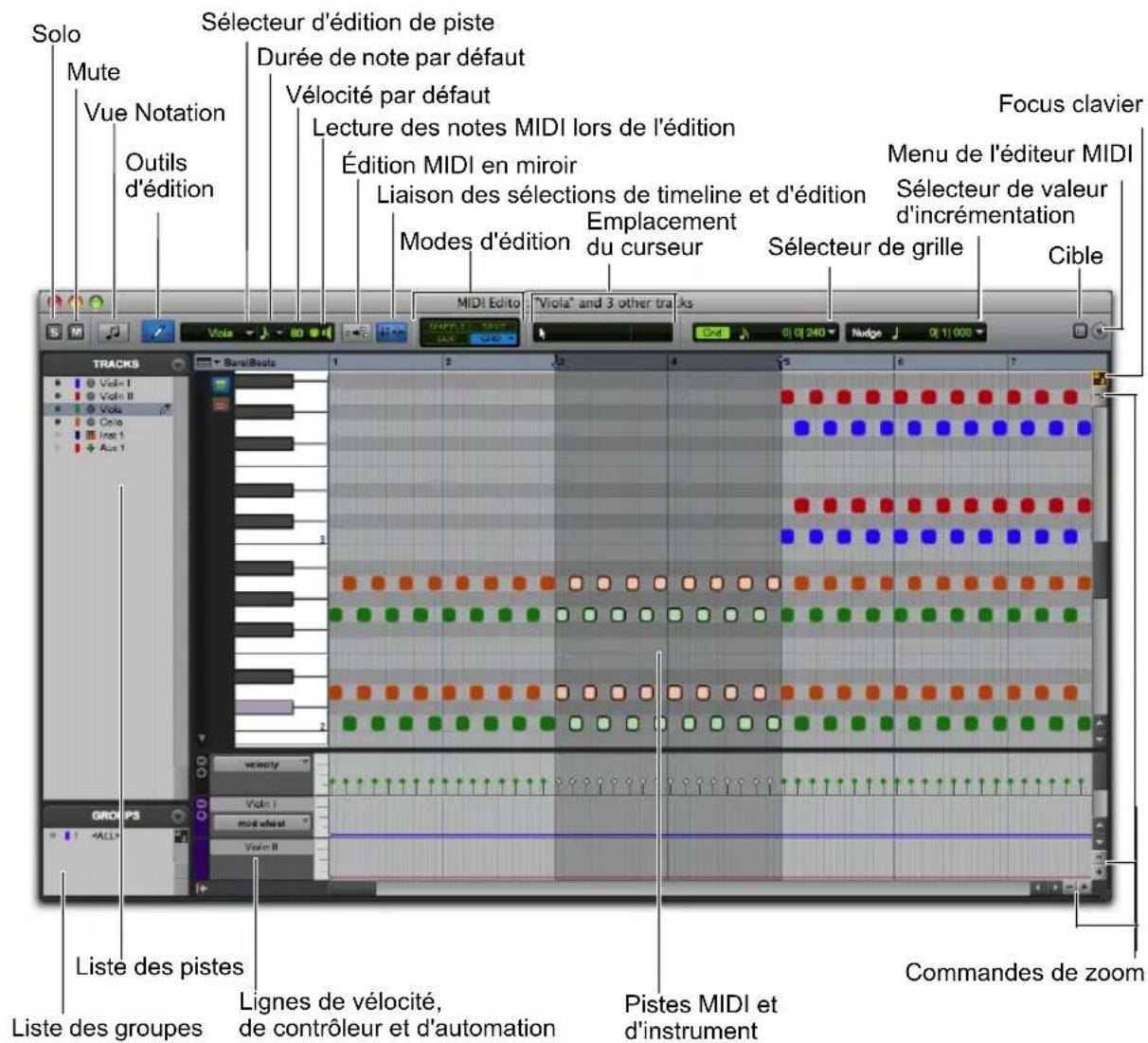 Solo Mute Vue Notation Outils d'édition Sélecteur d'édition de piste Durée de note par défaut Vélocité par défaut Lecture des notes MIDI lors de l'édition Édition MIDI en miroir Liaison des sélections de timeline et d'édition Emplacement du curseur Modes d'édition Sélecteur de grille Menu de l'éditeur MIDI Sélecteur de valeur d'incrémentation Focus clavier Cible MIDI Edito "Viola" and 3 other tracks TRACKS Barg/Boats 1 2 3 4 5 6 7 Vola VoiI I VoiI II Vola Ciba Inst 1 Aue 1 vocoby VoiI I mod wheat VoiI II Liste des pistes Liste des groupes Lignes de vélocité, de contrôleur et d'automation Pistes MIDI et d'instrument Commandes de zoom