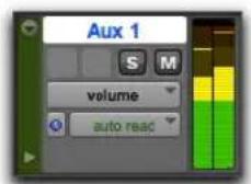 Avid Pro Tools 11.0 - Pour activer ou désactiver la vue large des indicateurs de niveau : - 2