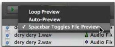 Loop Preview Auto-Preview ✓ Spacebar Toggles File Preview dery dery 1.wav Audio File dery dery 2.wav Audio File