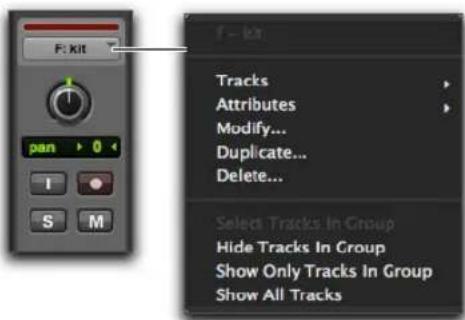 Avid Pro Tools 11.0 - Menus des ID de groupe de pistes et noms de groupes - 2