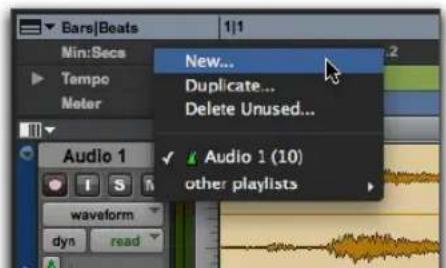 Avid Pro Tools 11.0 - Playlists - 1