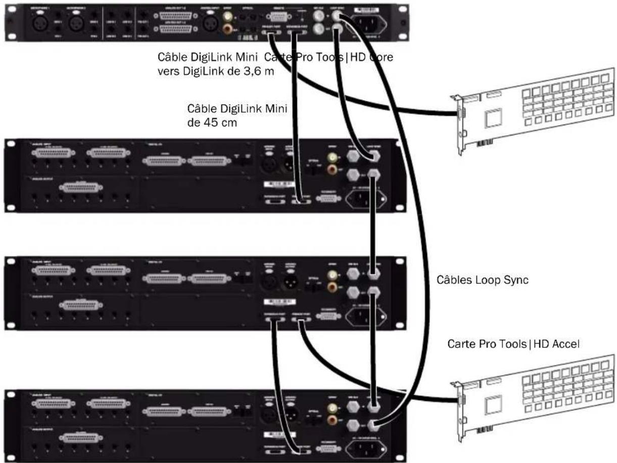 Avid Pro Tools HD 8.1 - Pour établier des connexons Loop Sync : - 2