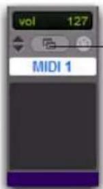 Avid Pro Tools HD 8.1 - Pour importer des noms de patch MIDI dans Pro Tools : - 2